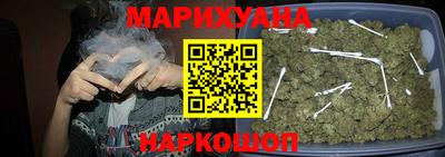 сатива Обь