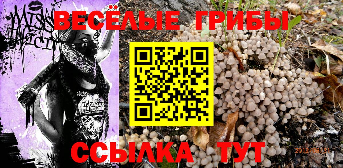 Галлюциногенные грибы ЛСД  Галлюциногенные грибы GOLDEN TEACHER  Вход с VPN  Волхов 