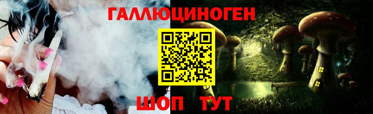 Псилоцибиновые грибы Cubensis Волхов